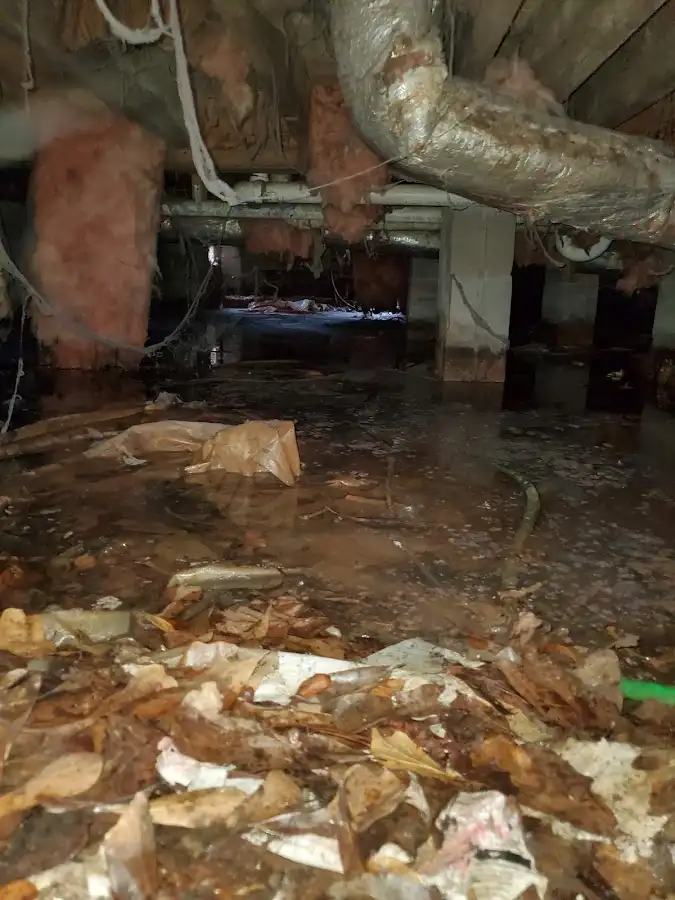 Crawl space flood assessment for Commercial Water Damage Restoration in Mililani Town